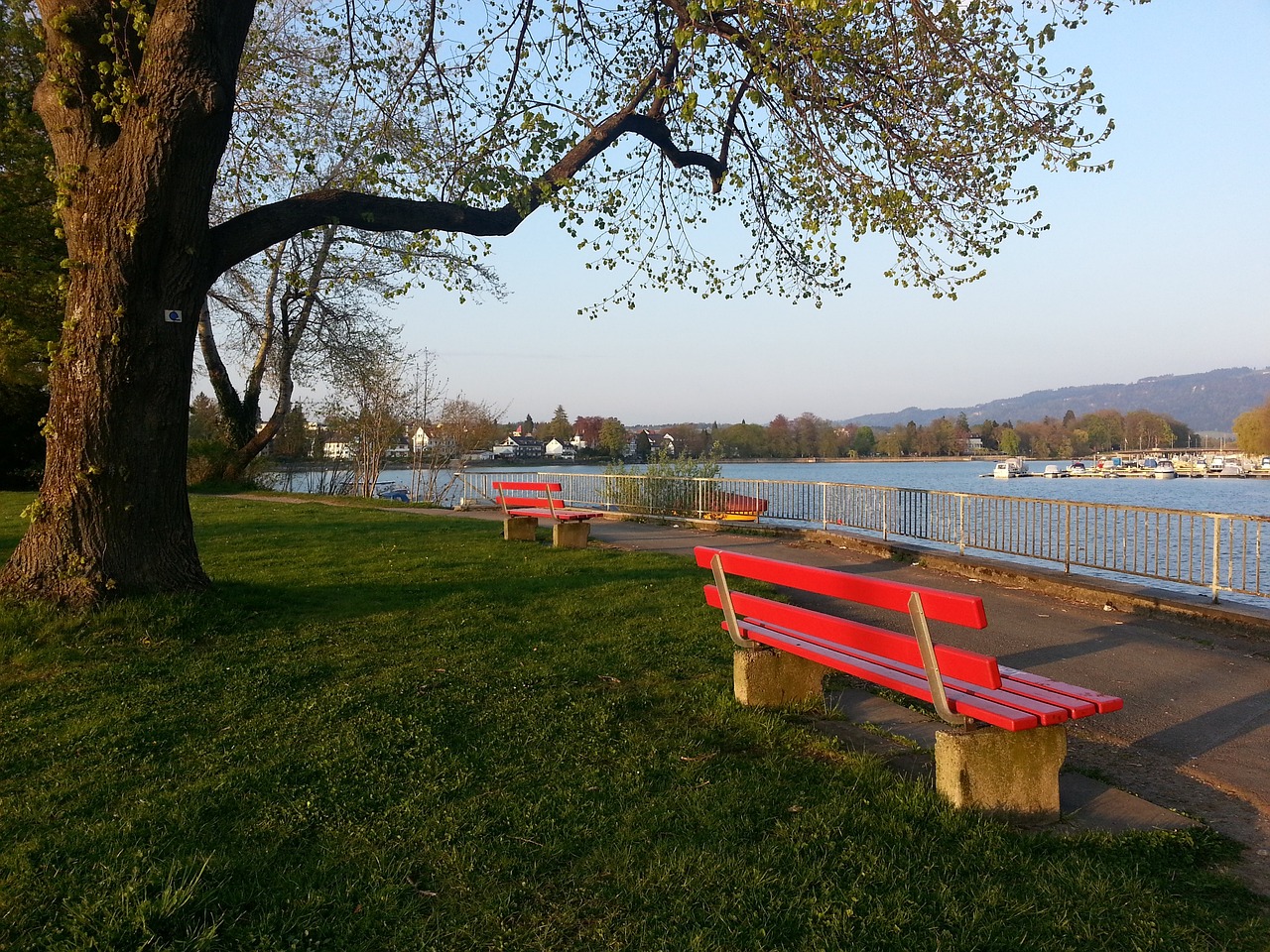 贵的借鉴 贵的借鉴