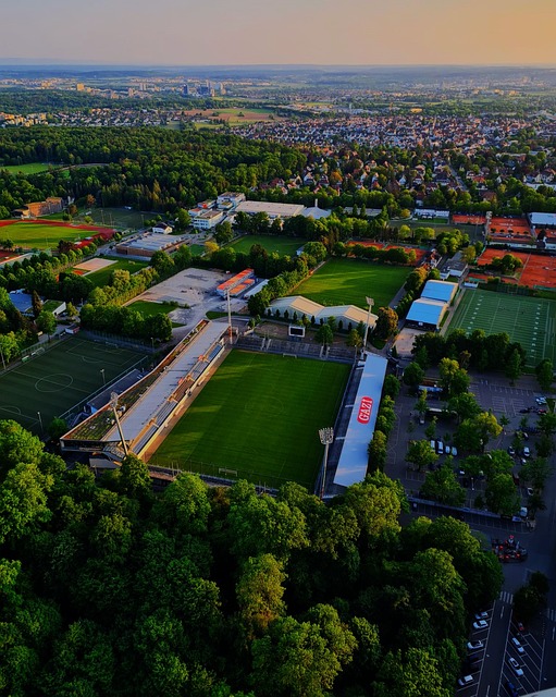 力往往无法 力往往无法