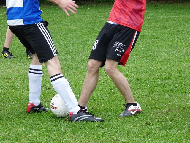 够恢复体能 够恢复体能