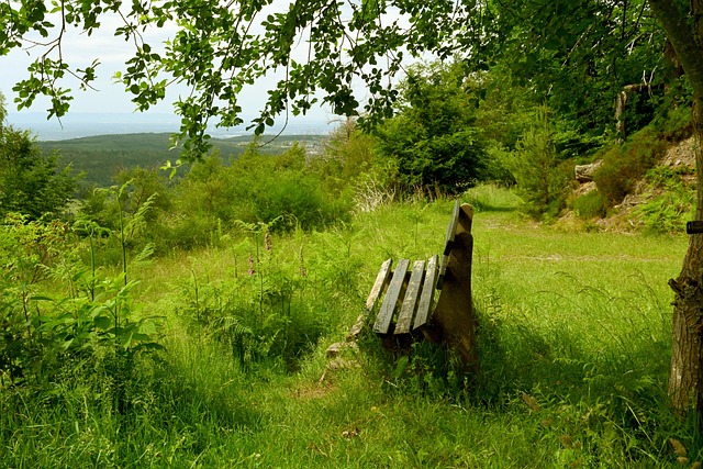 阅读能力 阅读能力